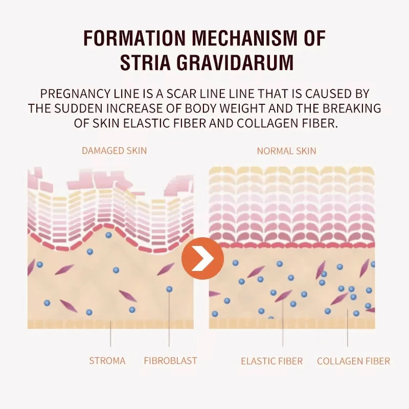 S6f3c8426d3d94532b3bf79ff081f2a2dy